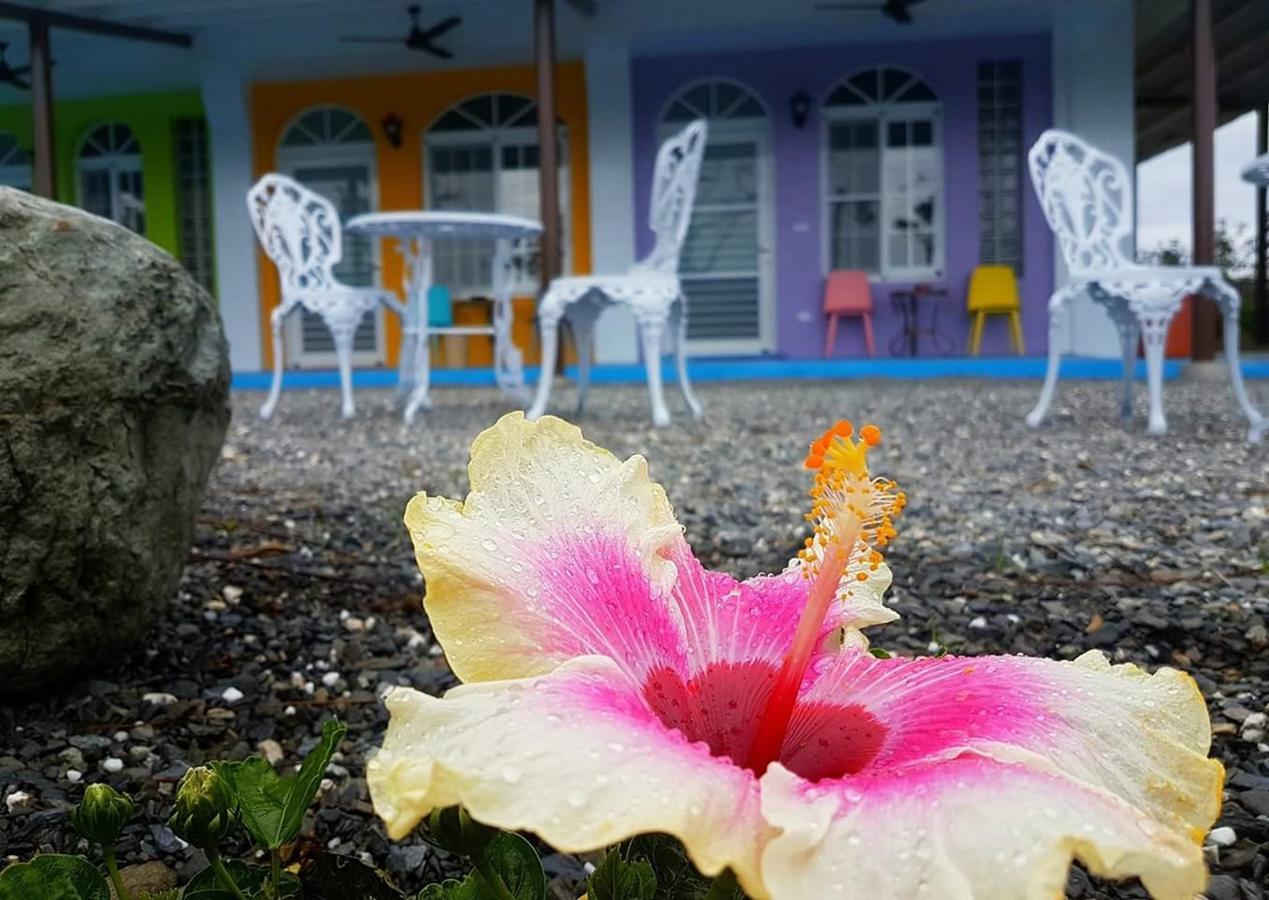 Wei Feng Jia Yuan B&B T'ai-tung エクステリア 写真